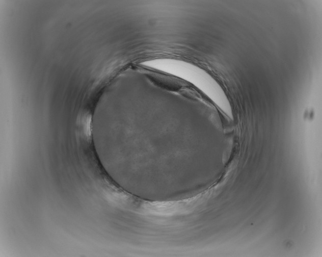 X0000089960041200707201958