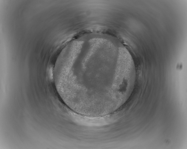 X0000089960042200707201958