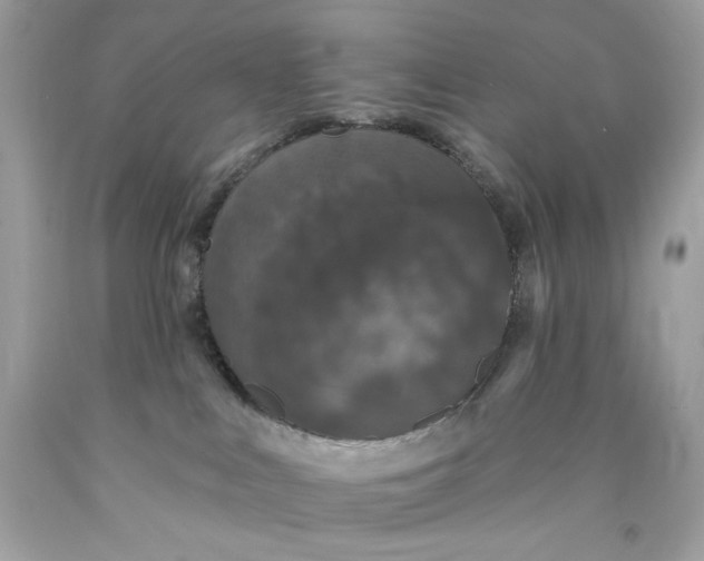 X0000089960043200707201958