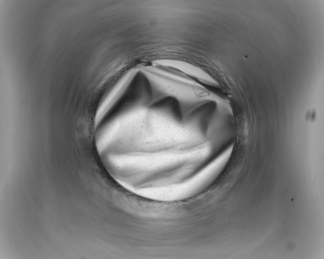 X0000089960044200707201958