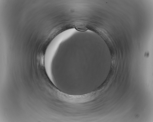 X0000089960046200707201958