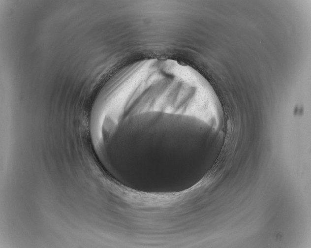 X0000089960048200707201958