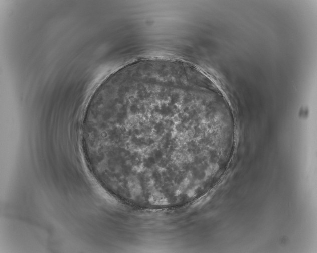 X0000089960049200707201957