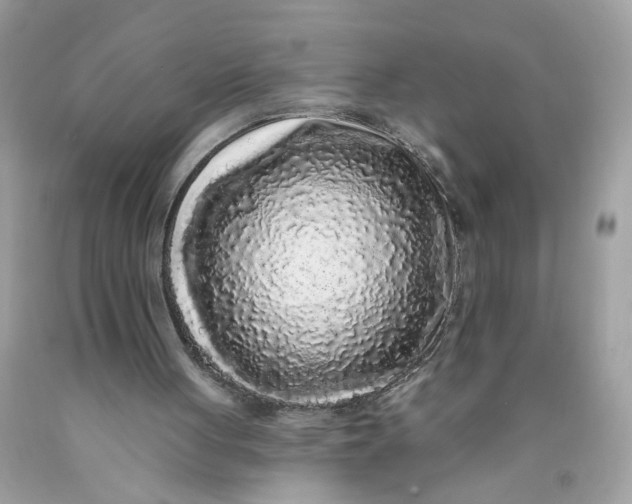 X0000089960051200707201957