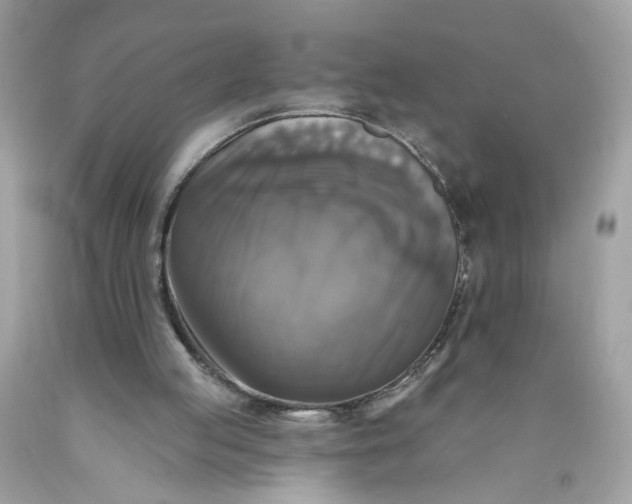 X0000089960053200707201957