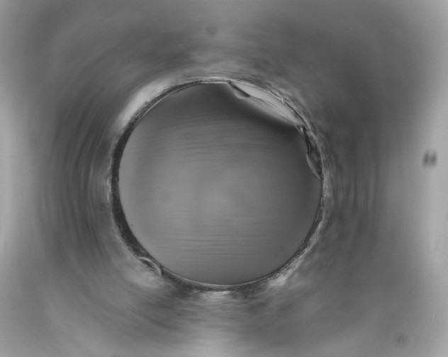 X0000089960054200707201958