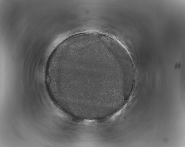 X0000089960055200707201958