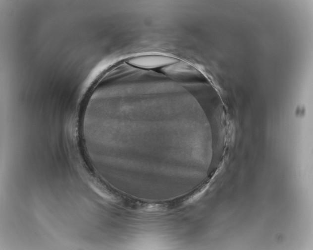 X0000089960056200707201958