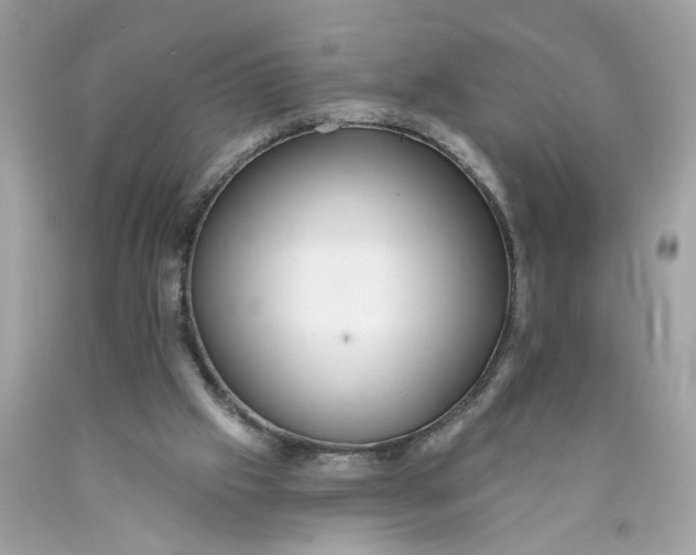 X0000089960057200707201958