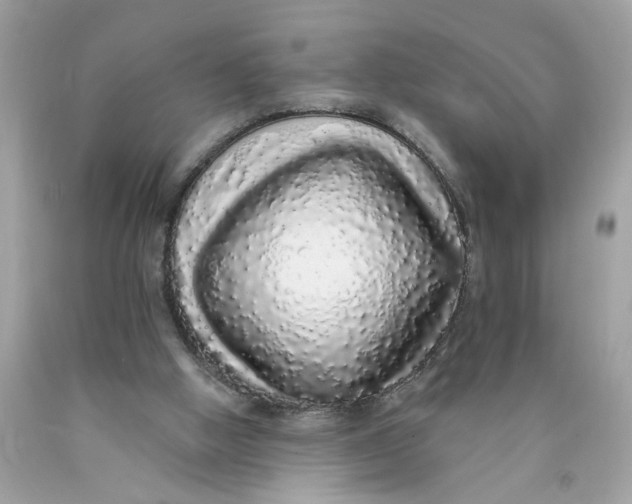 X0000089960058200707201958