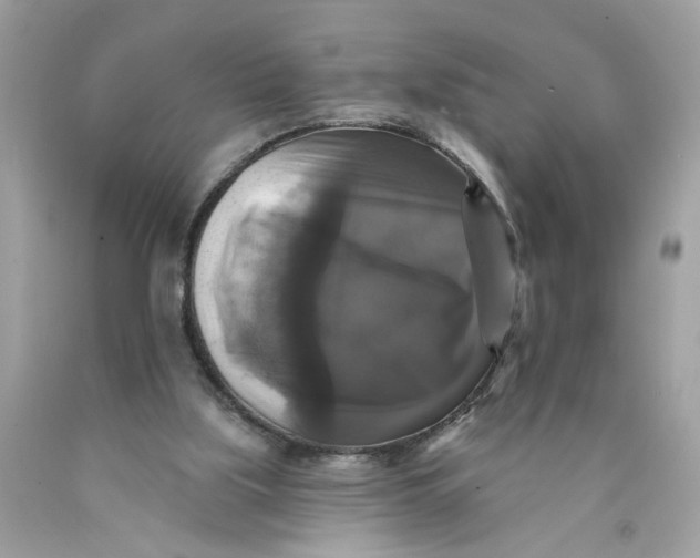 X0000089960059200707201958