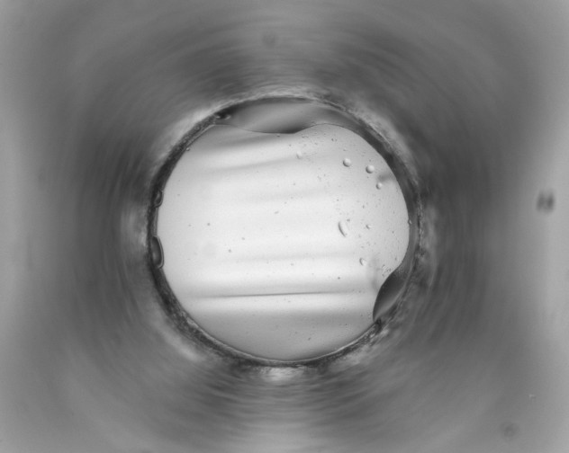 X0000089960060200707201958