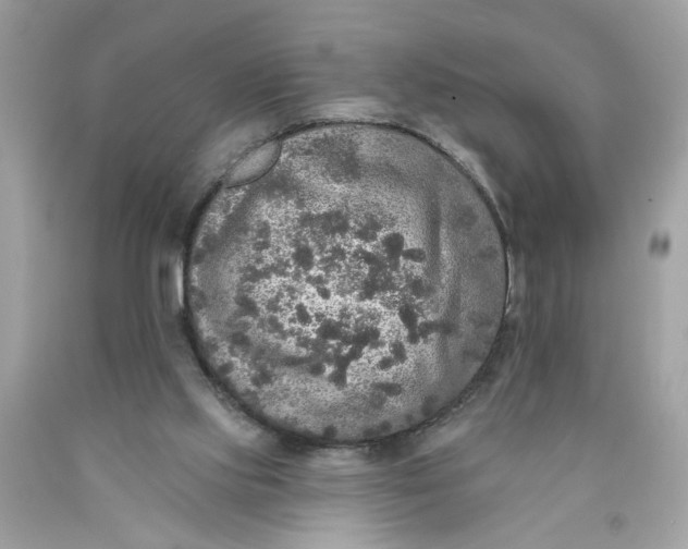 X0000089960061200707201958