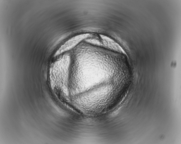 X0000089960062200707201958