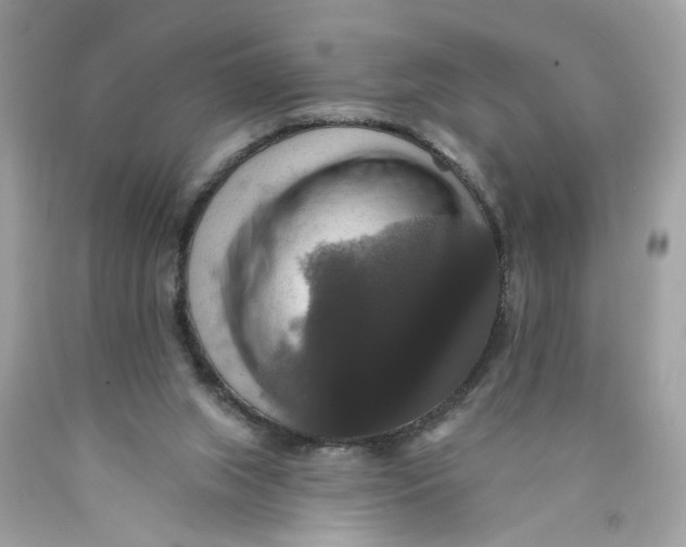 X0000089960063200707201958