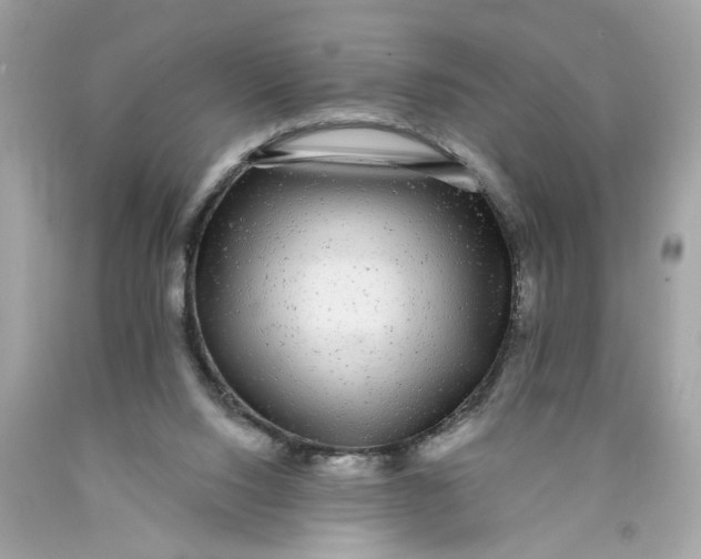 X0000089960064200707201958