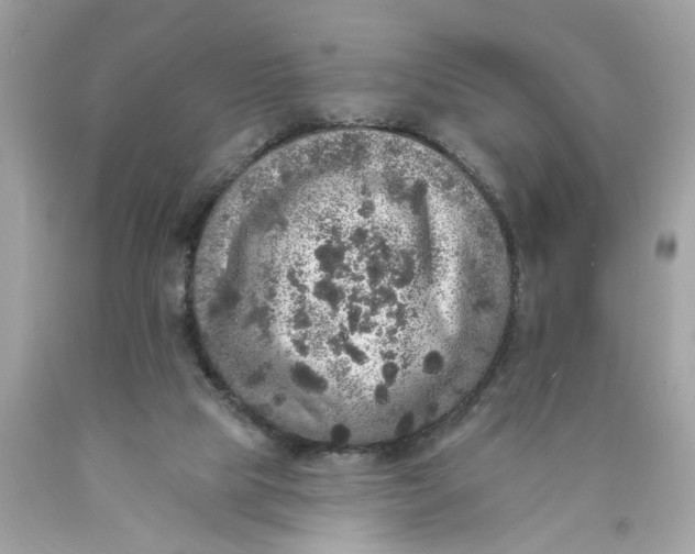 X0000089960065200707201958