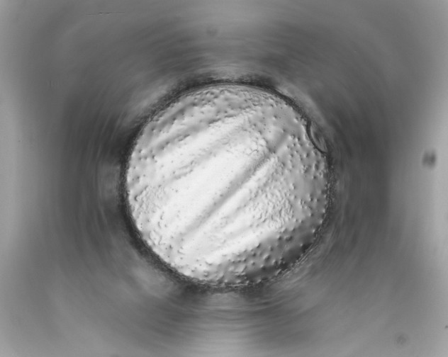 X0000089960066200707201958