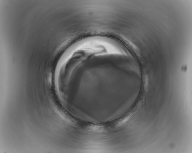 X0000089960067200707201958