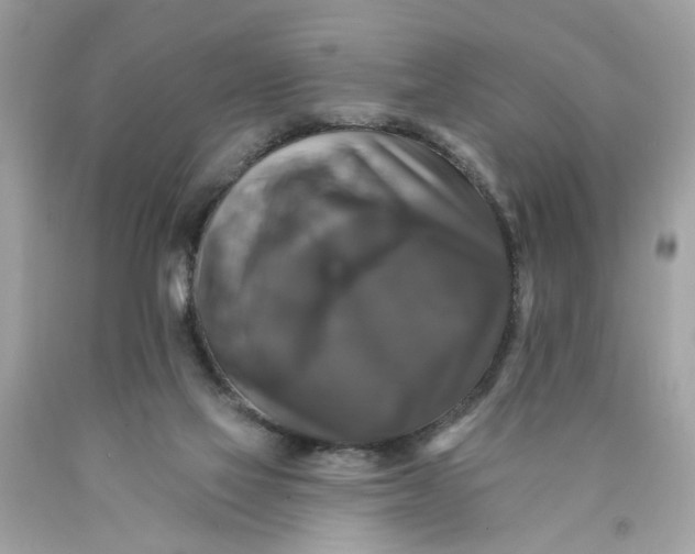 X0000089960069200707201958