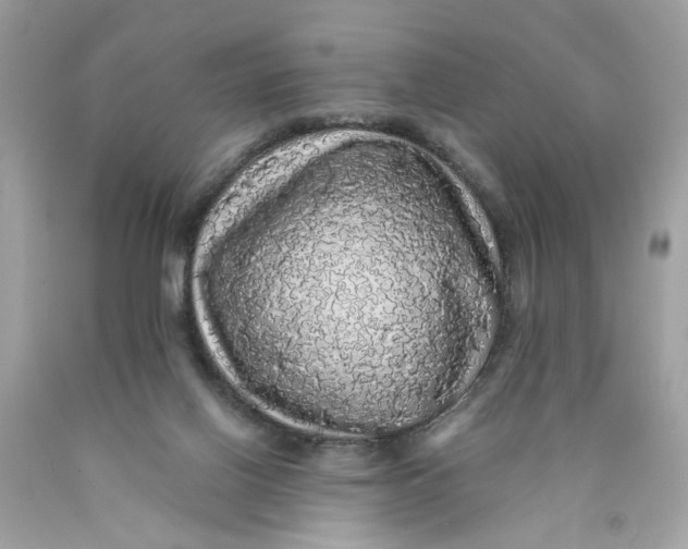 X0000089960070200707201958