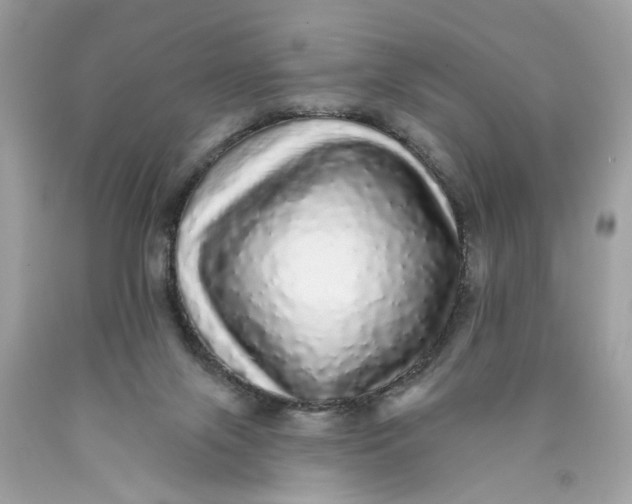 X0000089960071200707201958