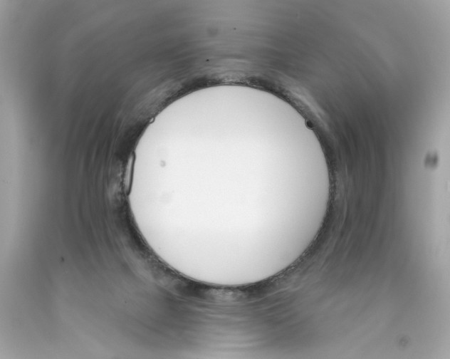 X0000089960073200707201958