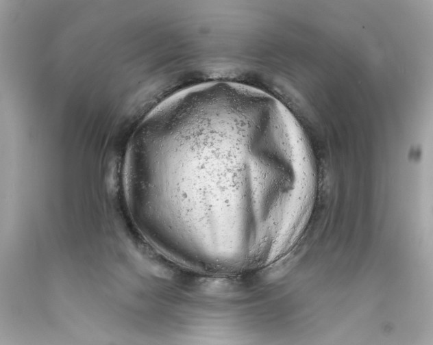 X0000089960074200707201958