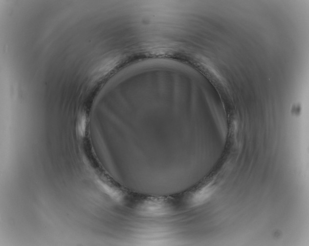 X0000089960076200707201958