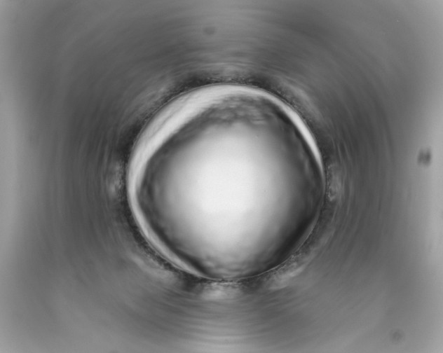 X0000089960077200707201958