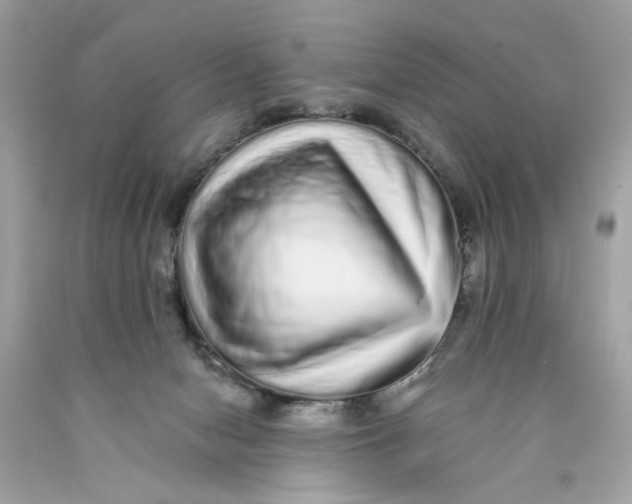 X0000089960078200707201958