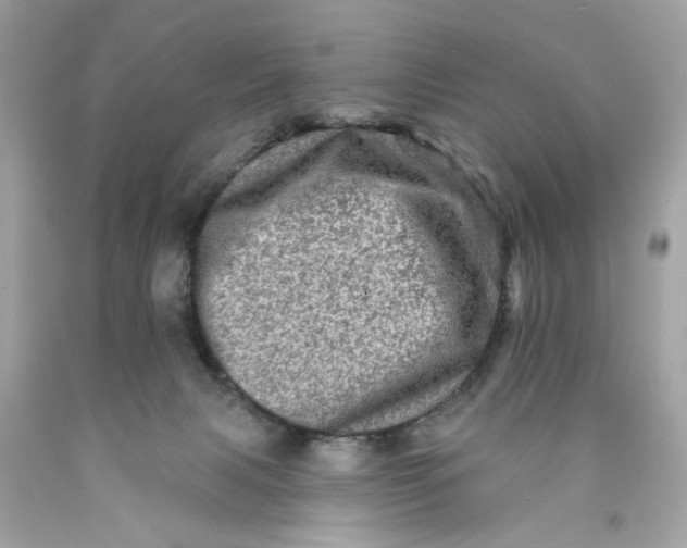 X0000089960079200707201958