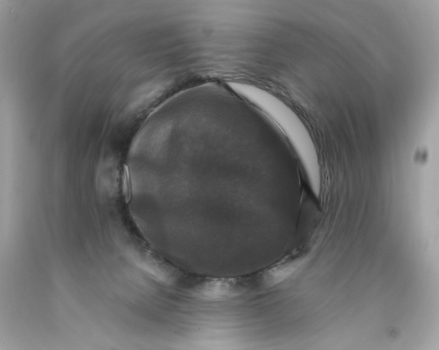 X0000089960080200707201958