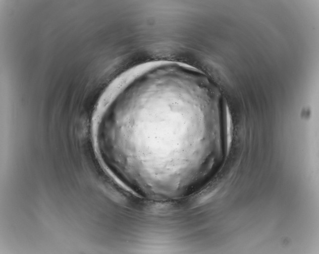 X0000089960081200707201958