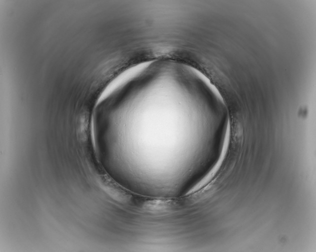 X0000089960082200707201958