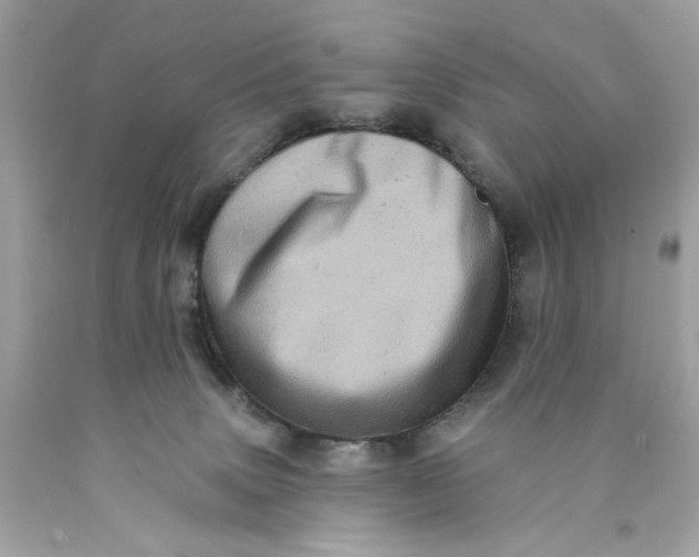 X0000089960083200707201958