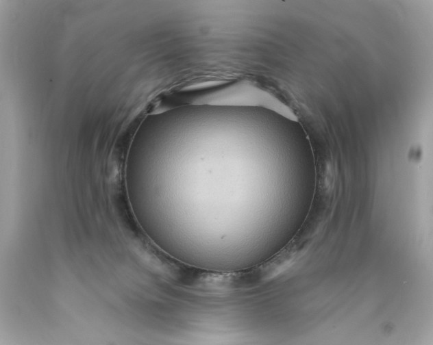 X0000089960084200707201958