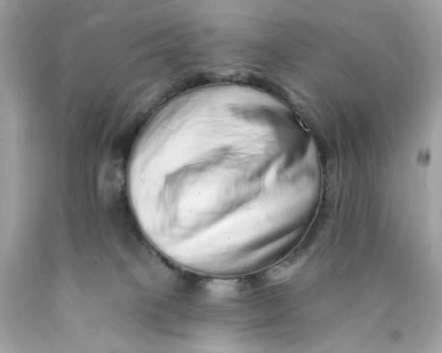 X0000089960085200707201958