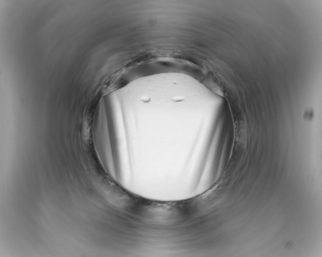 X0000089960086200707201958