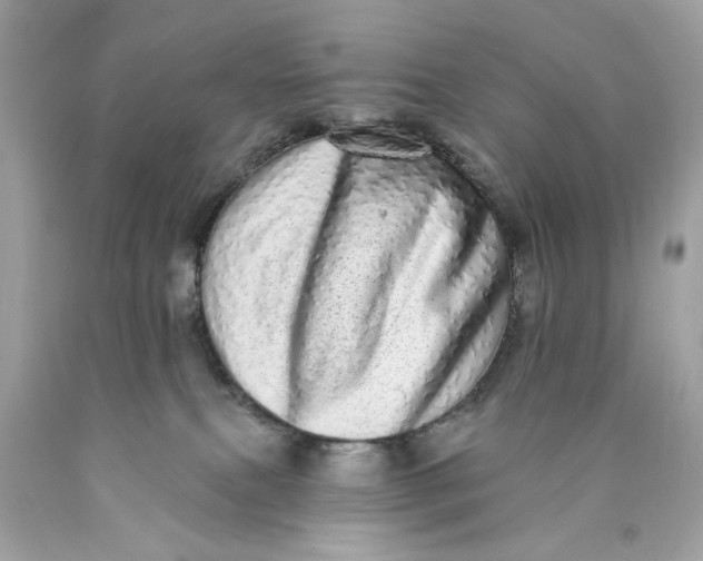 X0000089960087200707201958