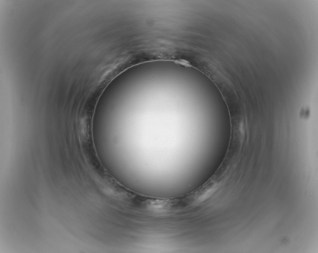 X0000089960088200707201958