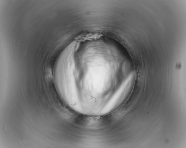 X0000089960089200707201958