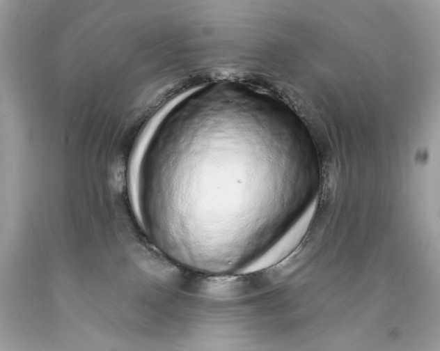 X0000089960090200707201958