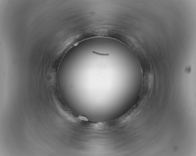 X0000089960092200707201958