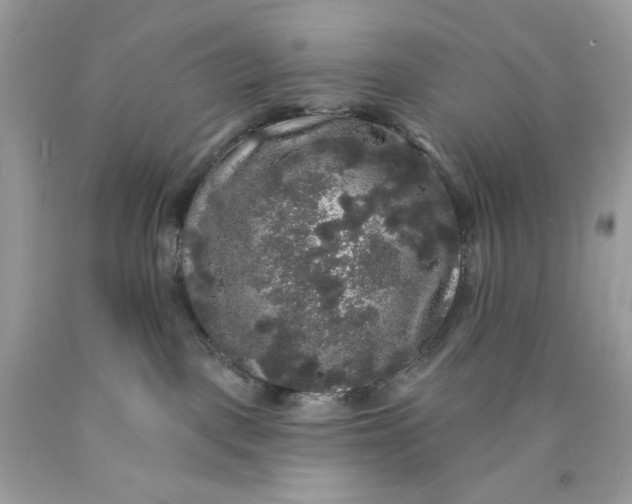 X0000089960093200707201958