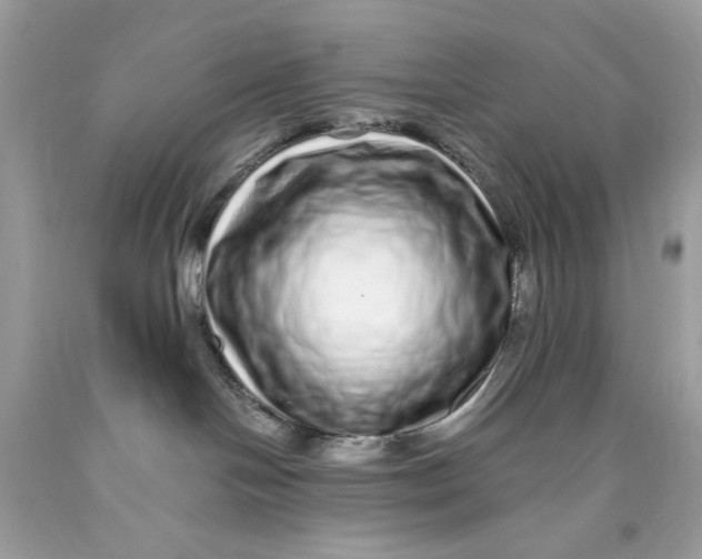 X0000089960094200707201958