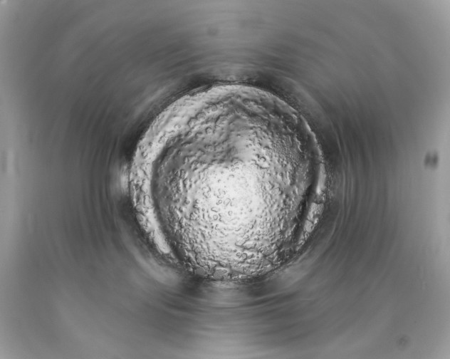 X0000089960095200707201958