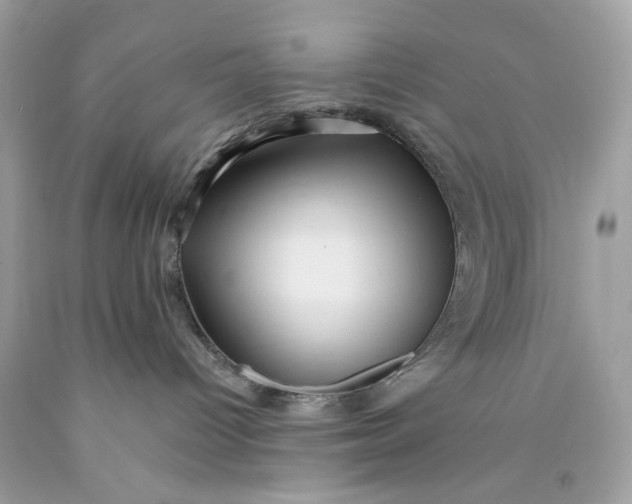 X0000089960096200707201958