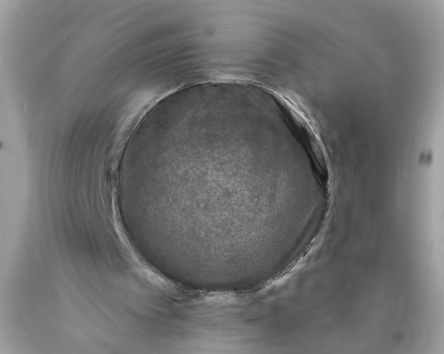 X0000089960097200707201957