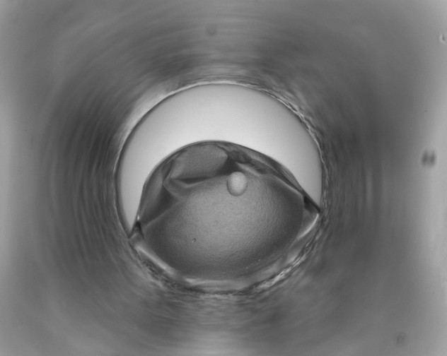 X0000089960099200707201957